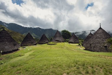 Wae Rebo geleneksel köyü Endonezya 'nın uzak Endonezya köyü Labuan Bajo ile kaplı çatıları.