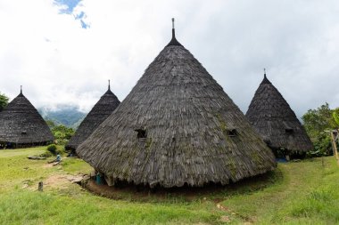 Wae Rebo geleneksel köyü Endonezya 'nın uzak Endonezya köyü Labuan Bajo ile kaplı çatıları.