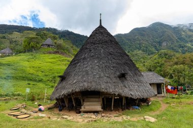 Wae Rebo geleneksel köyü Endonezya 'nın uzak Endonezya köyü Labuan Bajo ile kaplı çatıları.