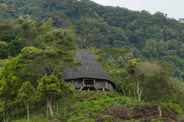 Wae Rebo geleneksel köyü Endonezya 'nın uzak Endonezya köyü Labuan Bajo ile kaplı çatıları.