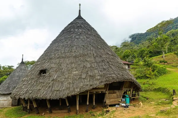 Wae Rebo geleneksel köyü Endonezya 'nın uzak Endonezya köyü Labuan Bajo ile kaplı çatıları.