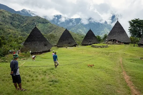 Wae Rebo geleneksel köyü Endonezya 'nın uzak Endonezya köyü Labuan Bajo ile kaplı çatıları.