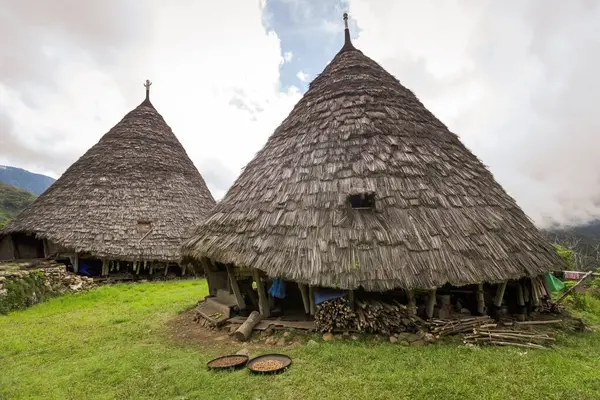 Wae Rebo geleneksel köyü Endonezya 'nın uzak Endonezya köyü Labuan Bajo ile kaplı çatıları.