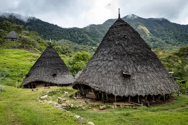 Wae Rebo geleneksel köyü Endonezya 'nın uzak Endonezya köyü Labuan Bajo ile kaplı çatıları.