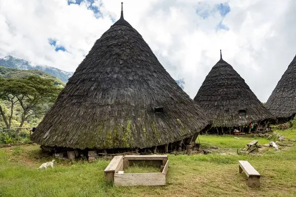 Wae Rebo geleneksel köyü Endonezya 'nın uzak Endonezya köyü Labuan Bajo ile kaplı çatıları.