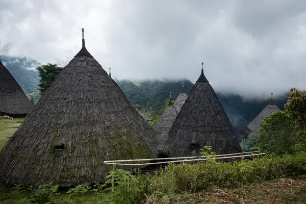 Wae Rebo geleneksel köyü Endonezya 'nın uzak Endonezya köyü Labuan Bajo ile kaplı çatıları.