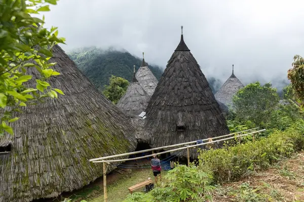 Wae Rebo geleneksel köyü Endonezya 'nın uzak Endonezya köyü Labuan Bajo ile kaplı çatıları.