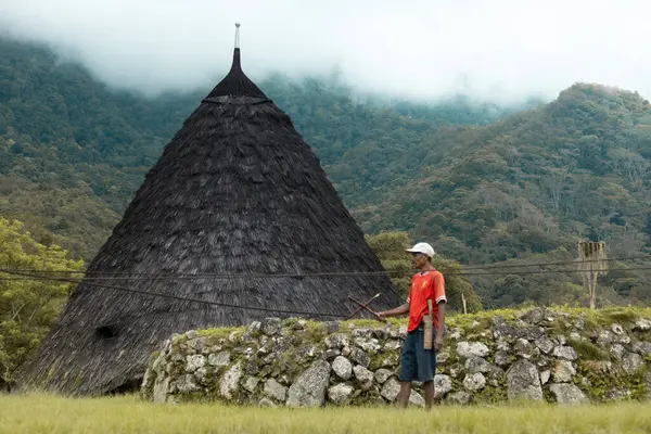 Wae Rebo geleneksel köyü Endonezya 'nın uzak Endonezya köyü Labuan Bajo ile kaplı çatıları.