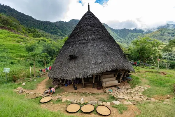 Flores Adası Endonezya 'da evinin yanında saman çatısı olan Wae Rebo köyündeki kadının kahvesi kurutuldu.