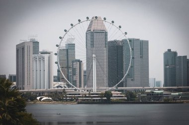 Singapur Flyer dönme dolap manzarası Singapur 'daki Bay Park' ın oradaki Bahçeler 'den