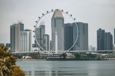 Singapur Flyer dönme dolap manzarası Singapur 'daki Bay Park' ın oradaki Bahçeler 'den