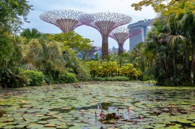 Singapur 'daki körfez sulak arazi parkındaki bahçeler.
