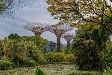 Singapur 'daki körfez sulak arazi parkındaki bahçeler.