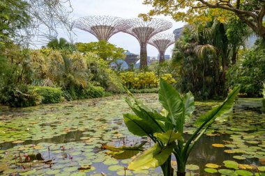 Singapur 'daki körfez sulak arazi parkındaki bahçeler.