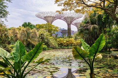 Singapur 'daki körfez sulak arazi parkındaki bahçeler.