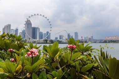 Singapur Flyer dönme dolap manzarası Singapur 'daki Bay Park' ın oradaki Bahçeler 'den