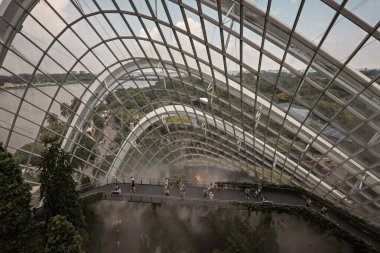 Singapur Körfezi kıyısındaki Bahçelerdeki Bulut Ormanı 'nın iç manzarası