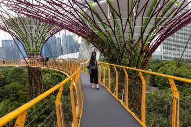 Singapur 'dan körfez manzaralı bahçeler