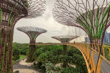 Singapur 'dan körfez manzaralı bahçeler