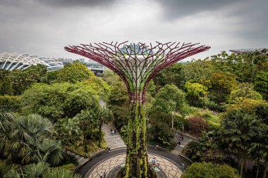 Singapur 'dan körfez manzaralı bahçeler