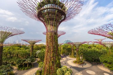 Singapur 'un dibindeki Körfez Fütürist Bahçeleri