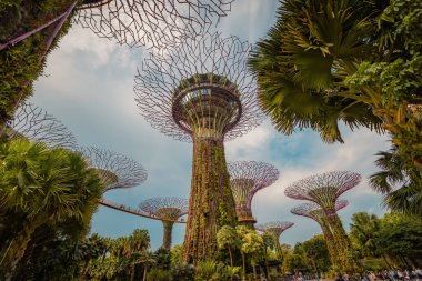Singapur 'un dibindeki Körfez Fütürist Bahçeleri