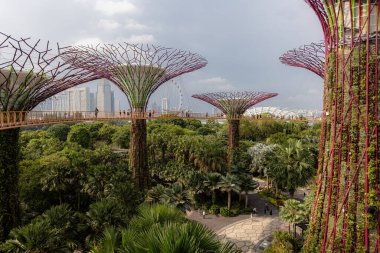 Singapur 'un dibindeki Körfez Fütürist Bahçeleri