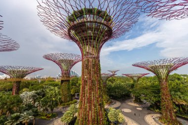 Singapur 'un dibindeki Körfez Fütürist Bahçeleri