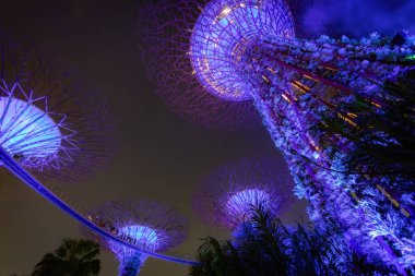Geceleri Singapur 'da aydınlatılmış Koyun yanındaki fütürist ağaçlar.