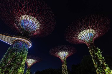 Geceleri Singapur 'da aydınlatılmış Koyun yanındaki fütürist ağaçlar.