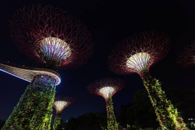 Geceleri Singapur 'da aydınlatılmış Koyun yanındaki fütürist ağaçlar.