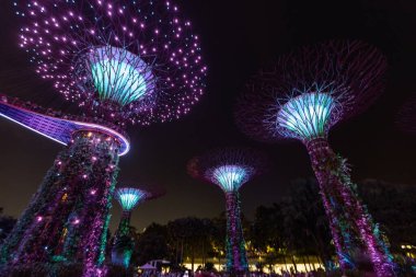 Geceleri Singapur 'da aydınlatılmış Koyun yanındaki fütürist ağaçlar.