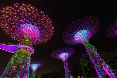 Geceleri Singapur 'da aydınlatılmış Koyun yanındaki fütürist ağaçlar.