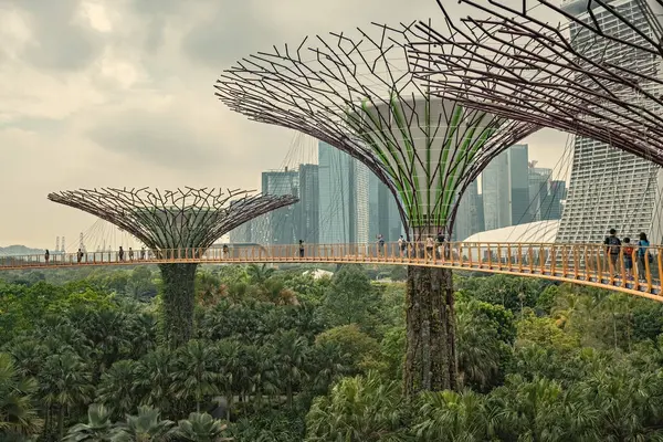 Singapur 'dan körfez manzaralı bahçeler