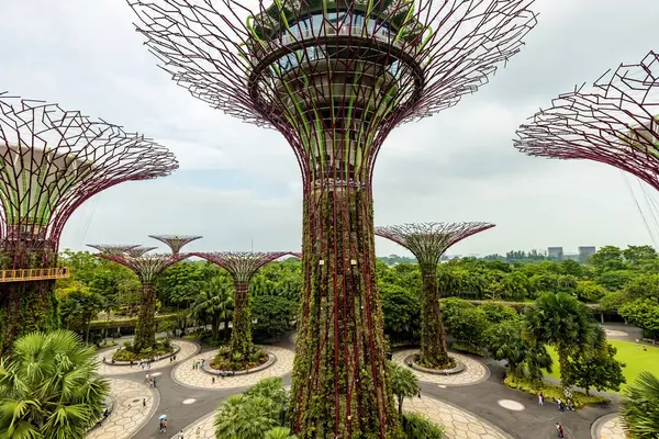 Singapur 'un dibindeki Körfez Fütürist Bahçeleri