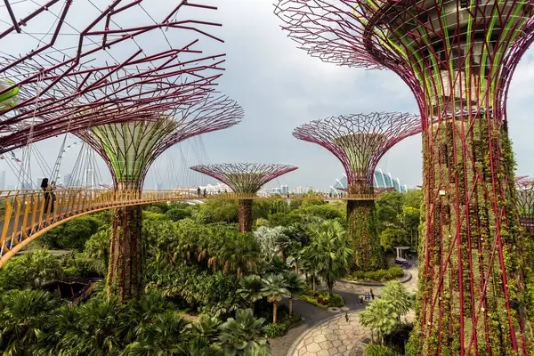 Singapur 'un dibindeki Körfez Fütürist Bahçeleri