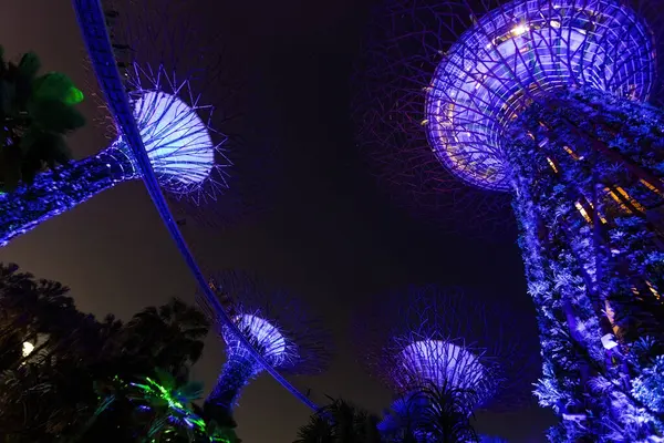 Geceleri Singapur 'da aydınlatılmış Koyun yanındaki fütürist ağaçlar.