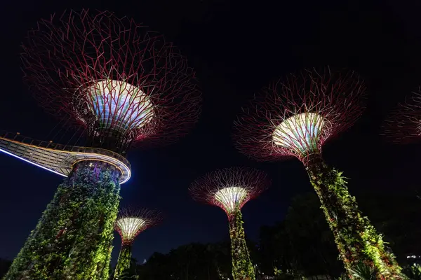 Geceleri Singapur 'da aydınlatılmış Koyun yanındaki fütürist ağaçlar.