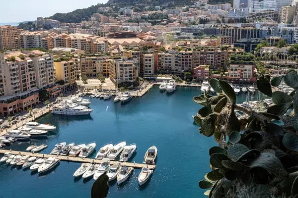 Monako şehrindeki liman, kasaba ve yatların havadan görüntüsü.