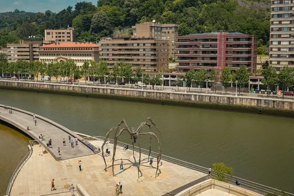 BILBAO, SPAIN - 3 Temmuz 2024: Guggenheim Müzesi 'nin yanındaki Maman Örümcek heykelinin havadan görünüşü