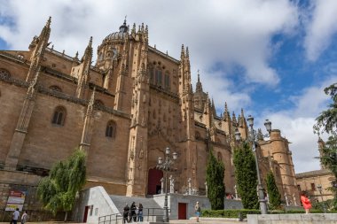 SALAMANCA, İspanya - 3 Temmuz 2024: İspanya 'daki Salamanca Eski Katedrali