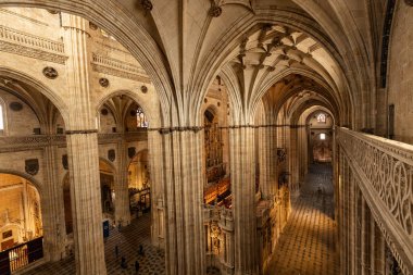 SALAMANCA, İspanya - 3 Temmuz 2024: Katedral Vieja Eski Katedrali, Salamanca İspanya