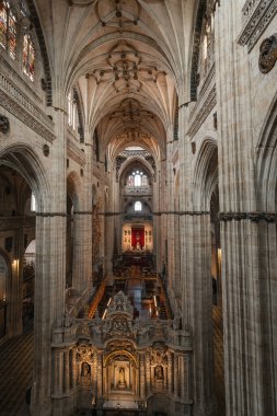 SALAMANCA, İspanya - 3 Temmuz 2024: Katedral Vieja Eski Katedrali, Salamanca İspanya
