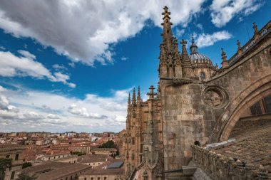 SALAMANCA, SPAIN - 3 Temmuz 2024: Katedral Vieja Eski Katedrali 'nin çatısında mimari ayrıntılar