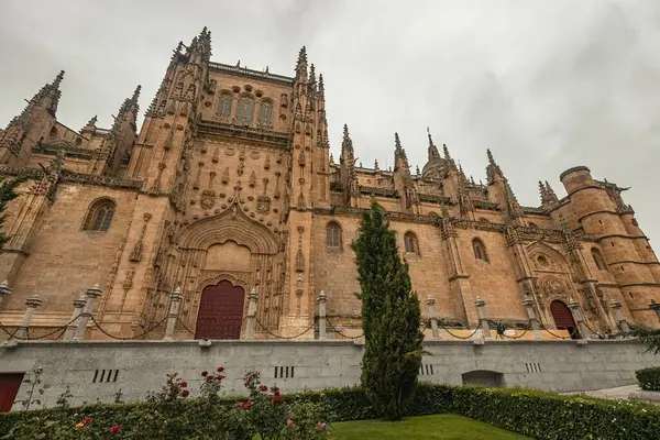 SALAMANCA, İspanya - 3 Temmuz 2024: Vieja de Salamanca Katedrali, İspanya 'nın Salamanca kentindeki Eski Katedral