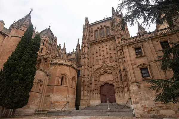 SALAMANCA, İspanya - 3 Temmuz 2024: Vieja de Salamanca Katedrali, İspanya 'nın Salamanca kentindeki Eski Katedral