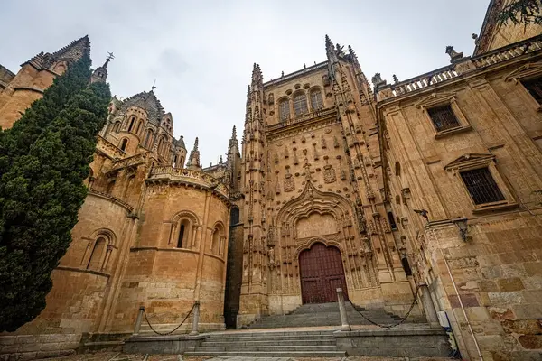 SALAMANCA, İspanya - 3 Temmuz 2024: Vieja de Salamanca Katedrali, İspanya 'nın Salamanca kentindeki Eski Katedral