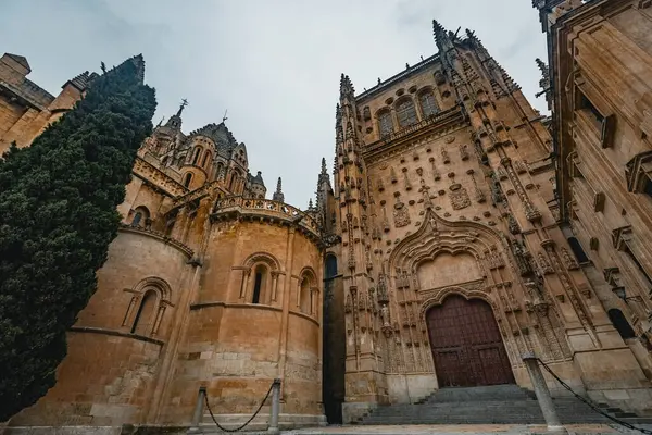 SALAMANCA, İspanya - 3 Temmuz 2024: Vieja de Salamanca Katedrali, İspanya 'nın Salamanca kentindeki Eski Katedral