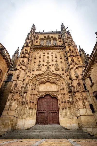 SALAMANCA, İspanya - 3 Temmuz 2024: Vieja de Salamanca Katedrali, İspanya 'nın Salamanca kentindeki Eski Katedral
