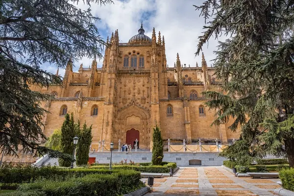 SALAMANCA, İspanya - 3 Temmuz 2024: İspanya 'daki Salamanca Eski Katedrali